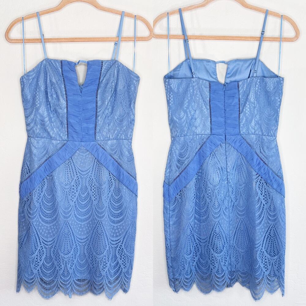 Harlyn Scallop Hem Lace Cocktail Sheath Bodycon Periwinkle Blue Dress Small - Picture 2 of 15